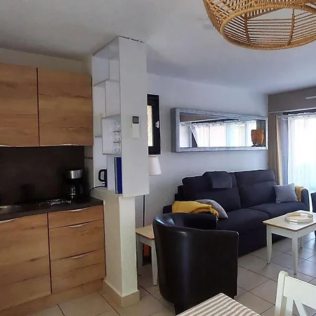 Magnifique T2 Renove, Climatise, 4 Pers Avec Terrasse Sud, Parking, Piscine Chauffee Et Mini Club - Fr-1-607-201 * آجد